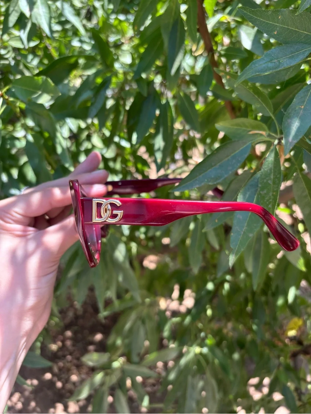 DOLCE GABBANA Burgundy Cat-Eye Sunglasses